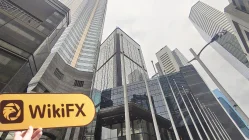 MC Prime هونغ كونغ  تم التحقق:  مكتب تشغيلي مؤكد