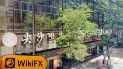 CHINA BEST Гонконг  Проверено: Физическое присутствие не обнаружено