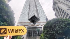 中国香港实地探访外汇交易商Ping An Securities (Hong Kong) 存在真实展业场所