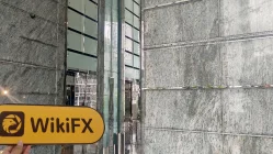 中国香港实地探访外汇交易商Kingston 存在真实展业场所