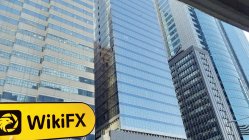 CLC 홍콩  확인됨:  물리적 존재 확인되지 않음