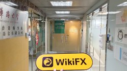 Zooe 香港 確認済み: 物理的な存在は確認されませんでした