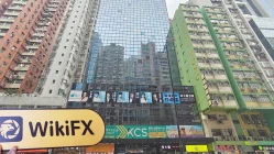 Zooe 香港 驗證：未發現實際存在