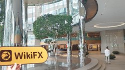 中国香港实地探访外汇交易商CSCI 存在真实展业场所