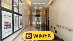 EMPERIO GROUP Hong Kong  Verified:  Operational Office Confirmed