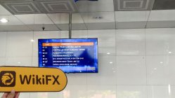 CITY CREDIT 馬來西亞 (等級 11 D1) 驗證: 未發現實際存在