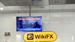 Grex Capital ماليزيا  تم التحقق: لم يتم العثور على وجود مادي