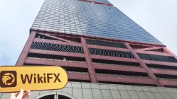 Alpha Hong Kong Verificato: Nessuna Presenza Fisica Trovata