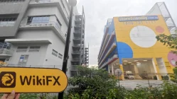 新加坡实地探访外汇交易商Trademinerz FX 不存在真实展业场所