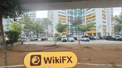 新加坡实地探访外汇交易商Trademinerz FX 不存在真实展业场所