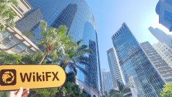 TYLENOL 香港 確認済み: 物理的な存在は確認されませんでした