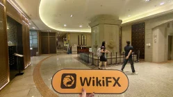 TYLENOL 香港  驗證：未發現實際存在