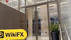 XMarket 香港  確認済み:  物理的な存在は確認されませんでした