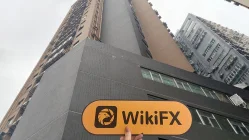 Wintersnow Limited 香港  驗證：未發現實體存在