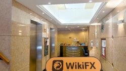 IKON GROUP 香港 確認済み: 物理的な存在は確認されていません