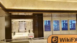 Yuanmao Internationality 香港 確認済み: 物理的な存在は確認されませんでした