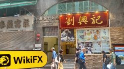 Trade View 香港 確認済み: 物理的な存在は確認されませんでした