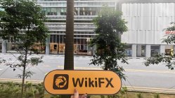 fomo シンガポール  確認済み: 物理的な存在は確認されませんでした