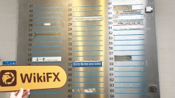 MGCCKJ Hongkong Verifiziert: Keine physische Präsenz festgestellt