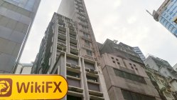 TOP LEAD HONG KONG GROUP Hồng Kông  Đã xác minh:  Không tìm thấy hiện diện thực tế