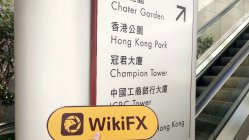 Chaos Hong Kong  Verified:  Operational Office Confirmed