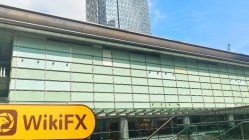 TRADEX हांगकांग  सत्यापित:  कोई भौतिक उपस्थिति नहीं मिली