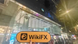 Taijin Hong Kong Verificado: Nenhuma Presença Física Encontrada