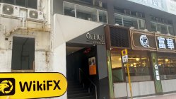 HK JINXIANG INTERNATIONAL LIMITED Hong Kong Verificato: Ufficio operativo confermato