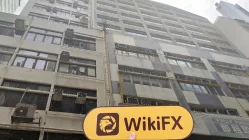 HK JINXIANG INTERNATIONAL LIMITED Hong Kong Verificato: Ufficio operativo confermato