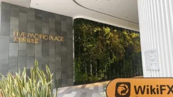 RIFA FINANCE Hong Kong  Terverifikasi:  Kantor Operasional Dikonfirmasi