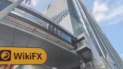 HONOR FINANCIAL Hong Kong  Napatunayan:  Walang Pisikal na Presensya na Natagpuan