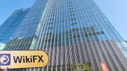 中国香港实地探访外汇交易商IISL 存在真实展业场所