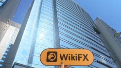 中国香港实地探访外汇交易商MG Group 存在真实展业场所