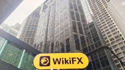 Tibra Hồng Kông  Đã xác minh:  Không tìm thấy hiện diện thực tế