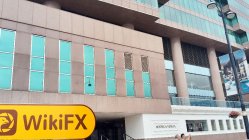 Rentalzi Hong Kong Verificado: No se encontró presencia física