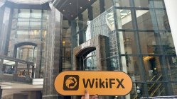 MAGIC COMPASS Hong Kong Verificato: Ufficio operativo confermato