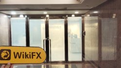 Buxberg 香港 驗證：未發現實體存在