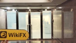 Buxberg Hong Kong  Verified:  No Physical Presence Found