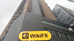 SHANGQUAN Hong Kong Verificato: Nessuna Presenza Fisica Rilevata