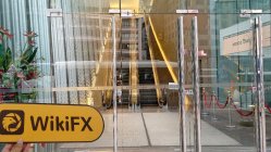 Greendax Hong Kong Verificado: No se encontró presencia física