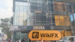 Greendax Hong Kong Verificado: No se encontró presencia física