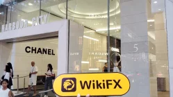 WALDORF 香港 驗證：未發現實體存在