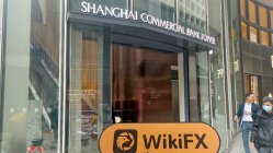 Donghai 香港 確認済み: 営業所確認済み