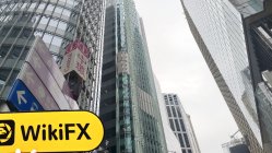 Donghai 香港 確認済み: 営業所確認済み