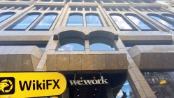 Valutrades 영국  확인됨:  물리적 존재 확인되지 않음