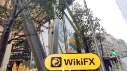 FlexTrade Reino Unido Verificado: No se encontró presencia física