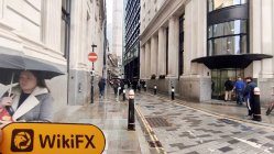 MAXISINVESTMENTS Reino Unido Verificado: No se encontró presencia física