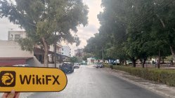 Kulanient 키프로스  확인됨:  물리적 존재가 발견되지 않음