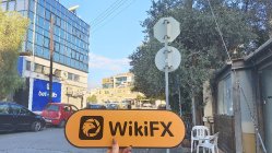 QUANTUMEX Chipre Verificado: Nenhuma Presença Física Encontrada