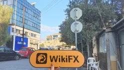 QUANTUMEX साइप्रस  सत्यापित:  कोई भौतिक उपस्थिति नहीं मिली